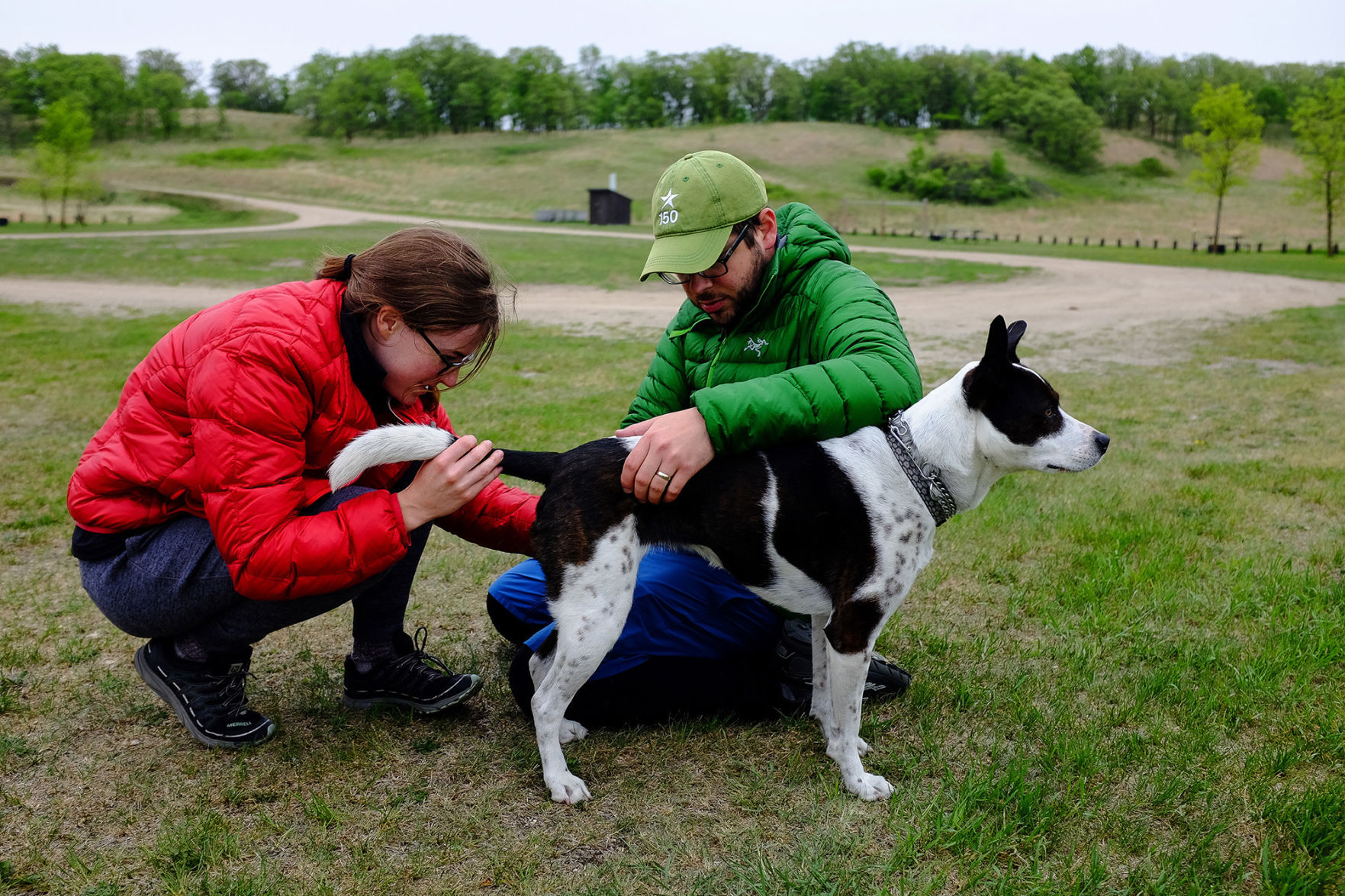 Check for ticks. Then check again.
